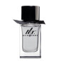 Mr. Burberry - Eau de Toilette