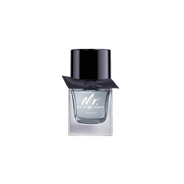 BURBERRY Mr. Burberry Indigo - Eau de Toilette 5045551783670