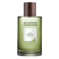 Thé Absolu - Eau de Parfum