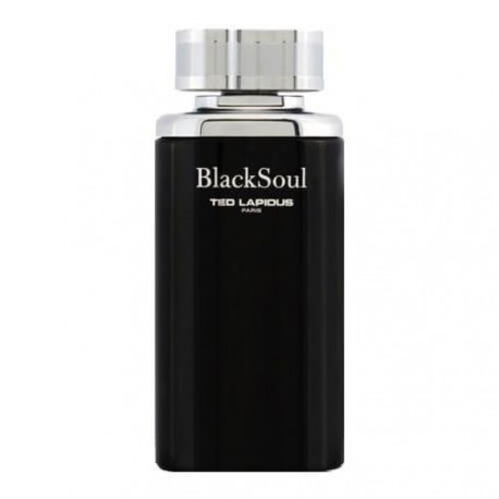 TED LAPIDUS Black Soul - Eau de Toilette 3355992004930 TED LAPIDUS Black Soul - Eau de Toilette 3355992004930