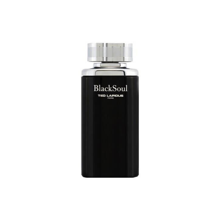 TED LAPIDUS Black Soul - Eau de Toilette 3355992004930 TED LAPIDUS Black Soul - Eau de Toilette 3355992004930