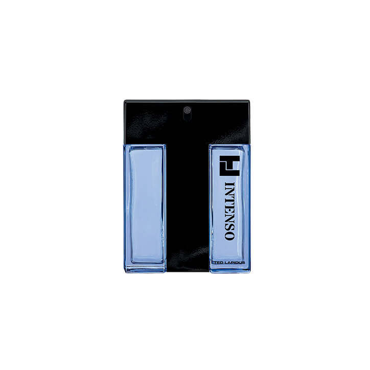 TED LAPIDUS TL Intenso - Eau de Toilette 3355992008839 TED LAPIDUS TL Intenso - Eau de Toilette 3355992008839