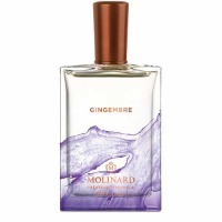 Ginger - Eau de Parfum