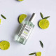 BERDOUES 1902 Tradition Green Tea - Eau de Cologne
