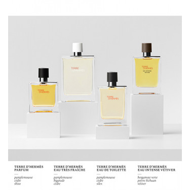 HERMÈS-Terre d'Hermès - Aftershave balm
