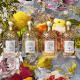 GUERLAIN-Aqua Allegoria Herba Fresca - Eau de Toilette