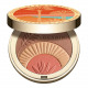 CLARINS-Ever Bronze & Blush - Healthy Glow Compact Powder