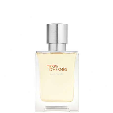 HERMÈS-Terre d'Hermès Frosted Water - Eau de Parfum
