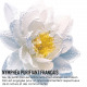 Dior Make-up removal with Nymphéa - Cleansing Milk for face and
