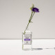 BERDOUES-1902 Tradition Violette - Eau de Cologne