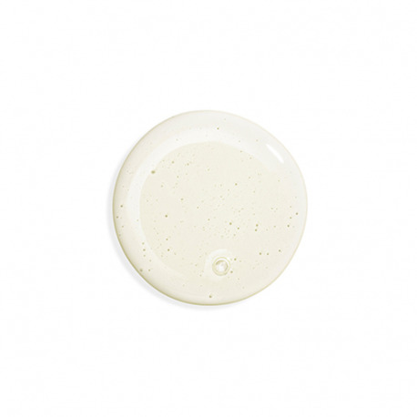 HAIR RITUEL BY SISLEY Purity Gentle Cleansing Care