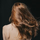HAIR RITUEL BY SISLEY Taming Revitalizing Cleansing Care with