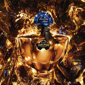 Shalimar Millesime Tonka - Eau de Parfum
