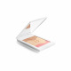 SISLEY PHYTO-TOUCHE SUN RADIANCE POWDER