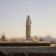 SISLEY ALL DAY ALL YEAR - Face Moisturizer