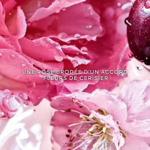 La Petite Robe Noire - Rose Cherry - Eau de Parfum