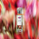 SISLEY ARIA'S DREAM WATER
