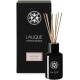 LALIQUE-Perfume Diffuser - Ginger, Yunnan (China)