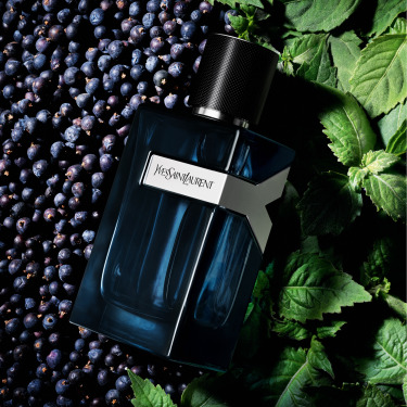 YVES SAINT LAURENT Y Men - Intense Eau de Parfum