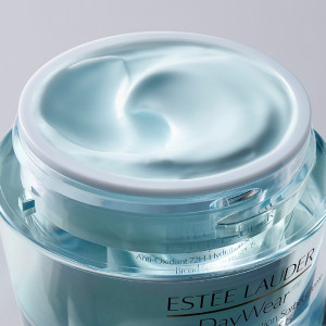 DayWear 24-Stunden-Feuchtigkeitscreme Multi-Protection Antioxidantien SPF15 - Für trockene Haut - Feuchtigkeitscreme
