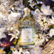 GUERLAIN-Aqua Allegoria Harvest - Nerolia Vetiver - Eau de