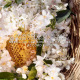 GUERLAIN-Aqua Allegoria Harvest - Nerolia Vetiver - Eau de