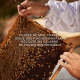 GUERLAIN Aqua Allegoria Harvest - Nerolia Vétiver - Eau de