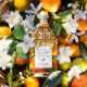GUERLAIN-Aqua Allegoria Harvest - Mandarin Basil - Eau de