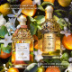 GUERLAIN Aqua Allegoria Harvest - Mandarine Basilic - Eau de