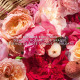 GUERLAIN Aqua Allegoria Harvest - Rosa Rossa - Eau de Toilette