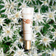 CLARINS SOS Primer - Illuminating Primer
