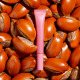 CLARINS Lip Perfector - Glow Lip Enhancer - Lip and Cheek Gloss