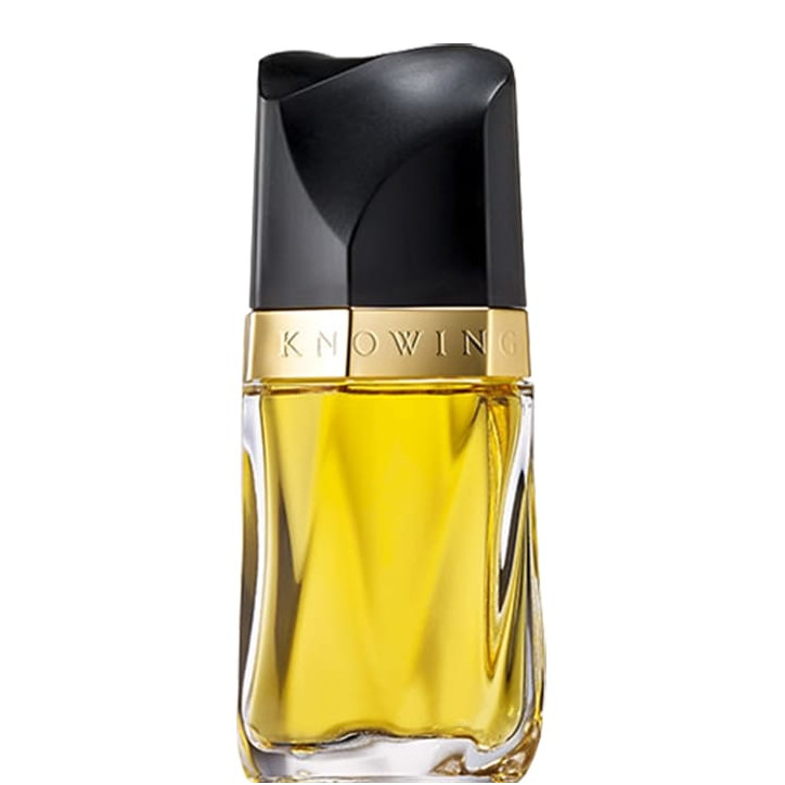 ESTEE LAUDER  0027131006534