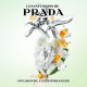 Prada Parfum Orange Blossom Infusion - Eau de Parfum