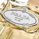 Prada Parfum Orange Blossom Infusion - Eau de Parfum