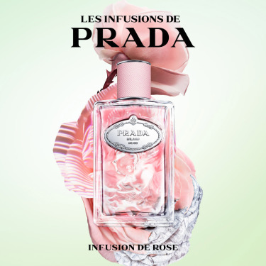 Prada Parfum Rose Infusion - Eau de Parfum