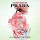 Prada Parfum Rose Infusion - Eau de Parfum
