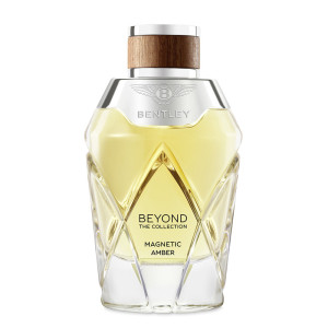 BENTLEY-Magnetic Amber - Eau de Parfum