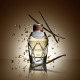 BENTLEY Magnetic Amber - Eau de Parfum