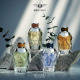 BENTLEY Magnetic Amber - Eau de Parfum