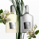 TOM FORD-Grey Vetiver - Parfum
