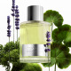 TOM FORD Beau de Jour - Eau de Parfum