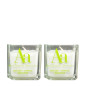 Absolut Absinth - 2 Massagekerzen
