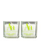 ABSOLUMENT PARFUMEUR Absolument Absinthe - 2 Bougies de Massage