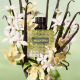 VALENTINO Born in Roma Green Stravaganza Donna - Floral Amber