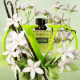 VALENTINO Born in Roma Green Stravaganza Donna - Floral Amber