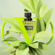 VALENTINO Born in Roma Green Stravaganza Donna - Floral Amber