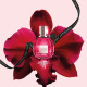VIKTOR & ROLF-Flowerbomb Ruby Orchid - Eau de Parfum