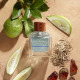 HOLLISTER-Canyon Escape for Him - Eau de Toilette