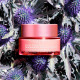 CLARINS Multi Active Day - Cream for Dry Skin